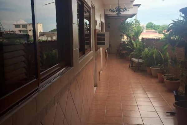 Hotel Rex (Chitre)